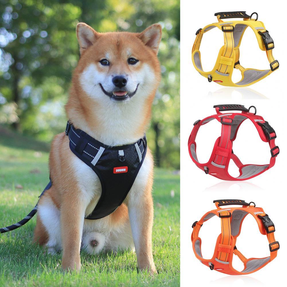 For Small Large Dog Outdoor Running Dogs Training Accessories